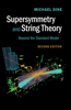 Supersymmetry and String Theory: Beyond the Standard Model