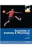 Essentials of Anatomy & Physiology