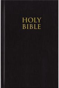 Church Bible-NIV