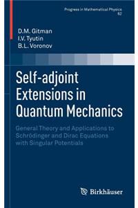 Self-Adjoint Extensions in Quantum Mechanics