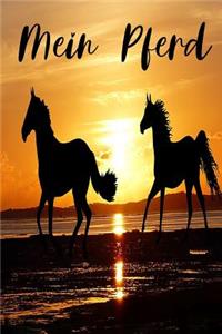 Mein Pferd