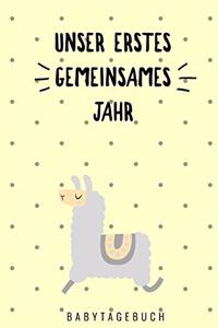 Unser Erstes Gemeinsames Jahr Babytagebuch