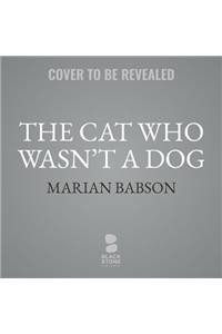 The Cat Who Wasn't a Dog
