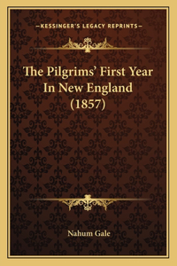 Pilgrims' First Year In New England (1857)