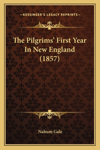 The Pilgrims' First Year In New England (1857)
