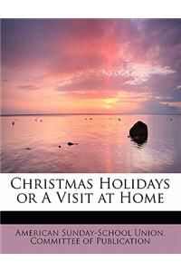 Christmas Holidays or a Visit at Home
