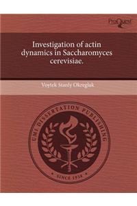 Investigation of Actin Dynamics in Saccharomyces Cerevisiae.