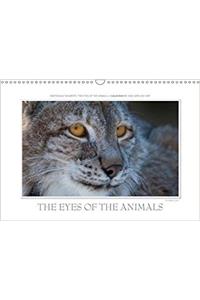 Emotional Moments: the Eyes of the Animals. UK-Version 2018