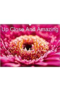 Up Close And Amazing 2018