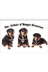 Des Bebes D'anges Heureux 2018