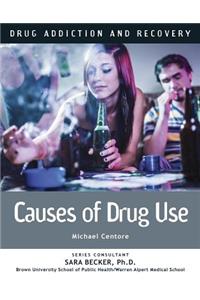 Causes of Drug Use