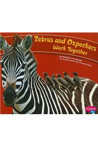 Zebras and Oxpeckers Work Together