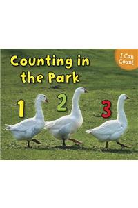 Counting at the Park