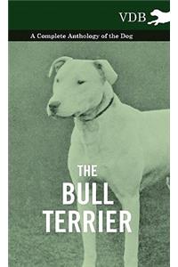 The Bull Terrier - A Complete Anthology of the Dog -