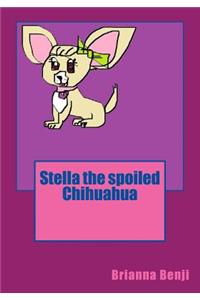 Stella the spoiled Chihuahua