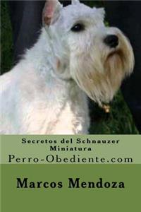 Secretos del Schnauzer Miniatura
