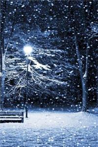 MindBlowing Winter Park bench Journal