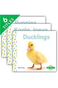 Baby Animals Set 1 (Set)