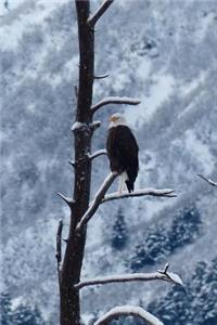 Eagle in the Snow Journal