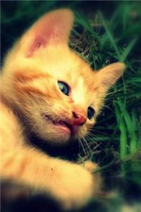 Adorable Kitty Journal