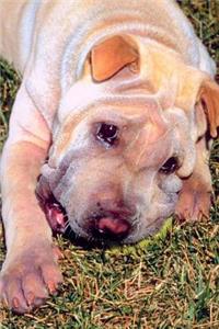 Resting Dog Photo Journal