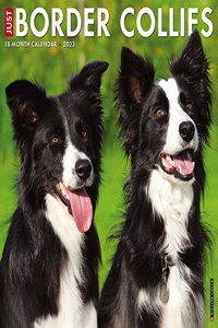 Just Border Collies 2023 Wall Calendar