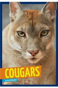 Cougars
