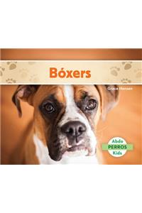 Bóxers (Boxers) (Spanish Version)