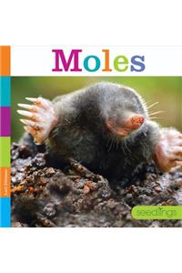 Moles