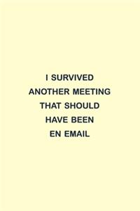 I Survived Another Meeting That Should Have Been En Email