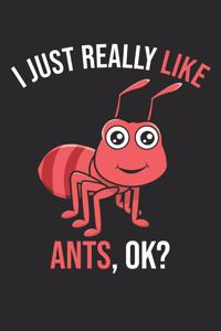 I Just Really Like Ants, OK?
