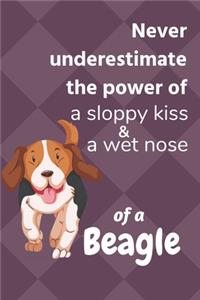 Never underestimate the power of a sloppy kiss & a wet nose of a Beagle