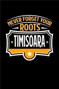 Timisoara Never Forget your Roots
