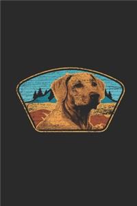 Labrador With Mountains Background