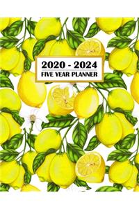 2020-2024 Five Year Planner