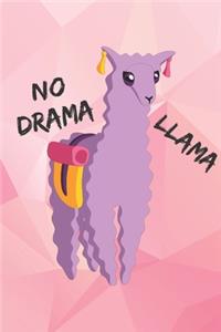 No drama llama - Notebook