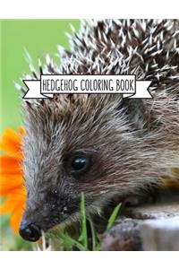 Hedgehog Coloring Book