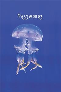 Passwords