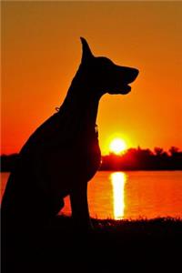 Doberman Sunrise Dog Journal