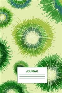 Journal