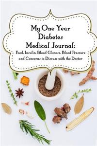 My One-Year Diabetes Medical Journal