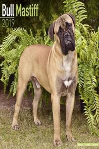 Bull Mastiff Calendar 2019