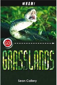 Wham Grasslands