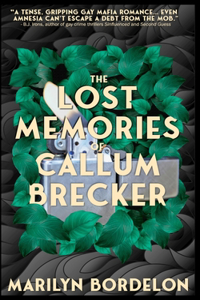 Lost Memories of Callum Brecker