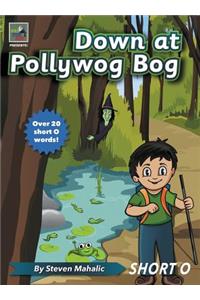 Down at Pollywog Bog