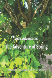 Veli's Adventures