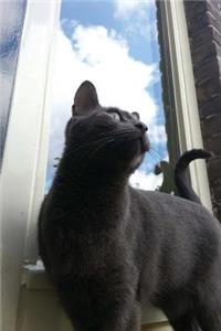 Russian Blue Cat Notebook