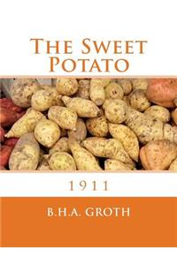 The Sweet Potato