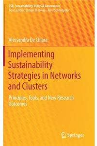Implementing Sustainability Strategies in Networks and Clusters