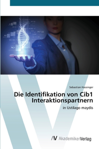 Identifikation von Cib1 Interaktionspartnern
